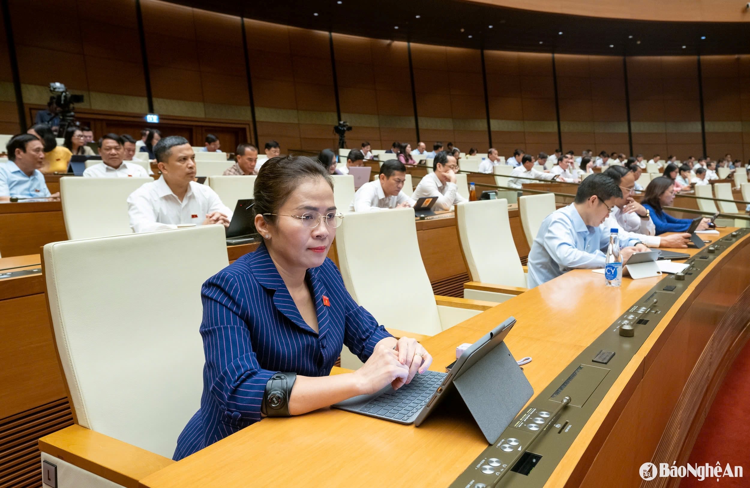 bna_vo-thi-minh-sinh.jpg
