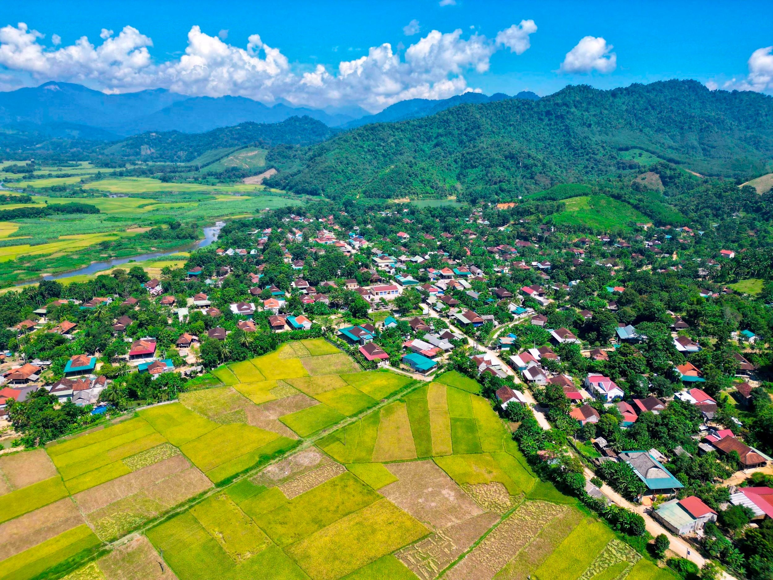 Tăng cường hỗ trợ người dân bị thiệt hại lúa nước và nâng cấp đường giao thông