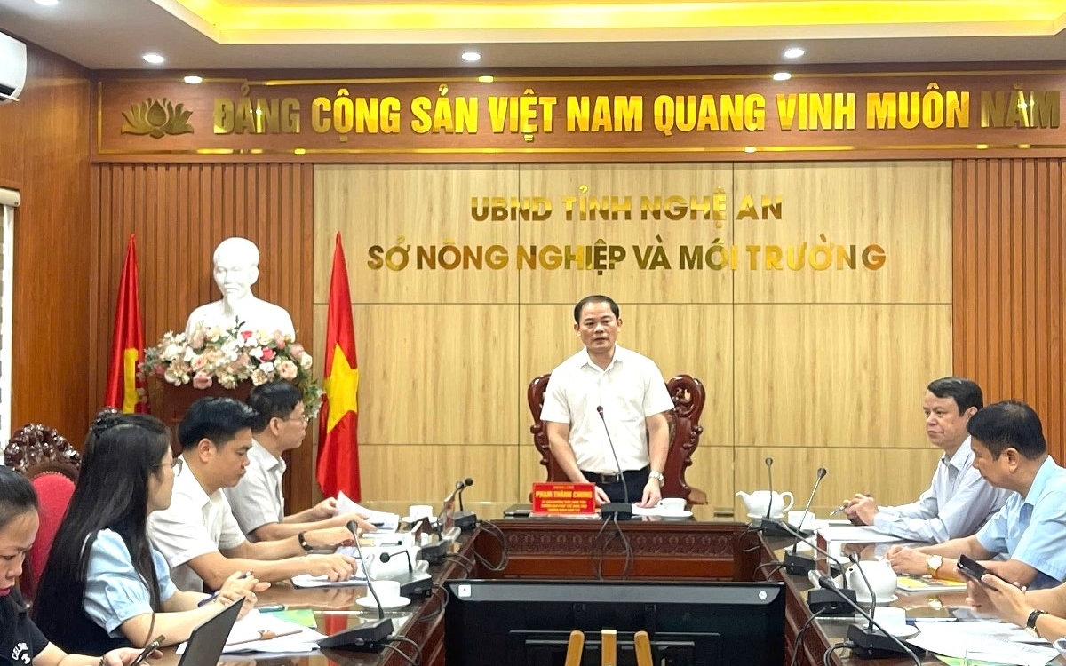 Ban Pháp chế HĐND tỉnh giám sát công tác thi hành pháp luật về xử lý vi phạm hành chính trong lĩnh vực đất đai tại Sở Nông nghiệp và Môi trường