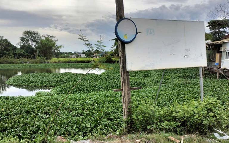 Trả lời kiến nghị của cử tri huyện Nghĩa Đàn về mức thu nghĩa vụ trên đất nhận khoán của Nông trường Cờ đỏ