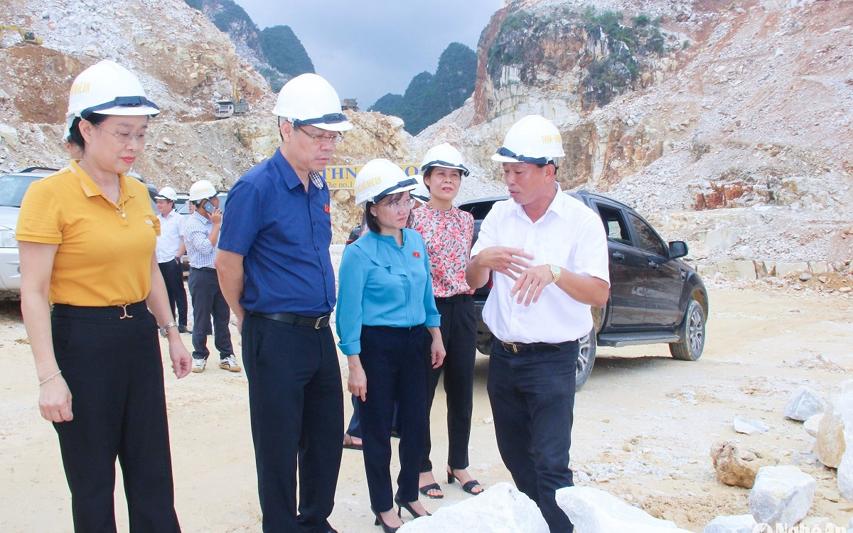 Giám sát chuyên đề của Đoàn đại biểu Quốc hội tỉnh Nghệ An, nhiệm kỳ 2021 - 2026