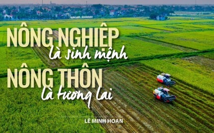 Nông nghiệp là sinh mệnh - Nông thôn là tương lai