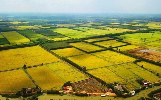 Bộ Nông nghiệp và Môi trường trả lời kiến nghị cử tri nghiên cứu sửa đổi Nghị định 64/NĐ-CP về giao đất nông nghiệp