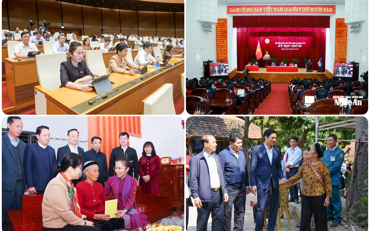 Xuân mới, niềm tin lan tỏa từ trí tuệ và tâm huyết của đại biểu dân cử