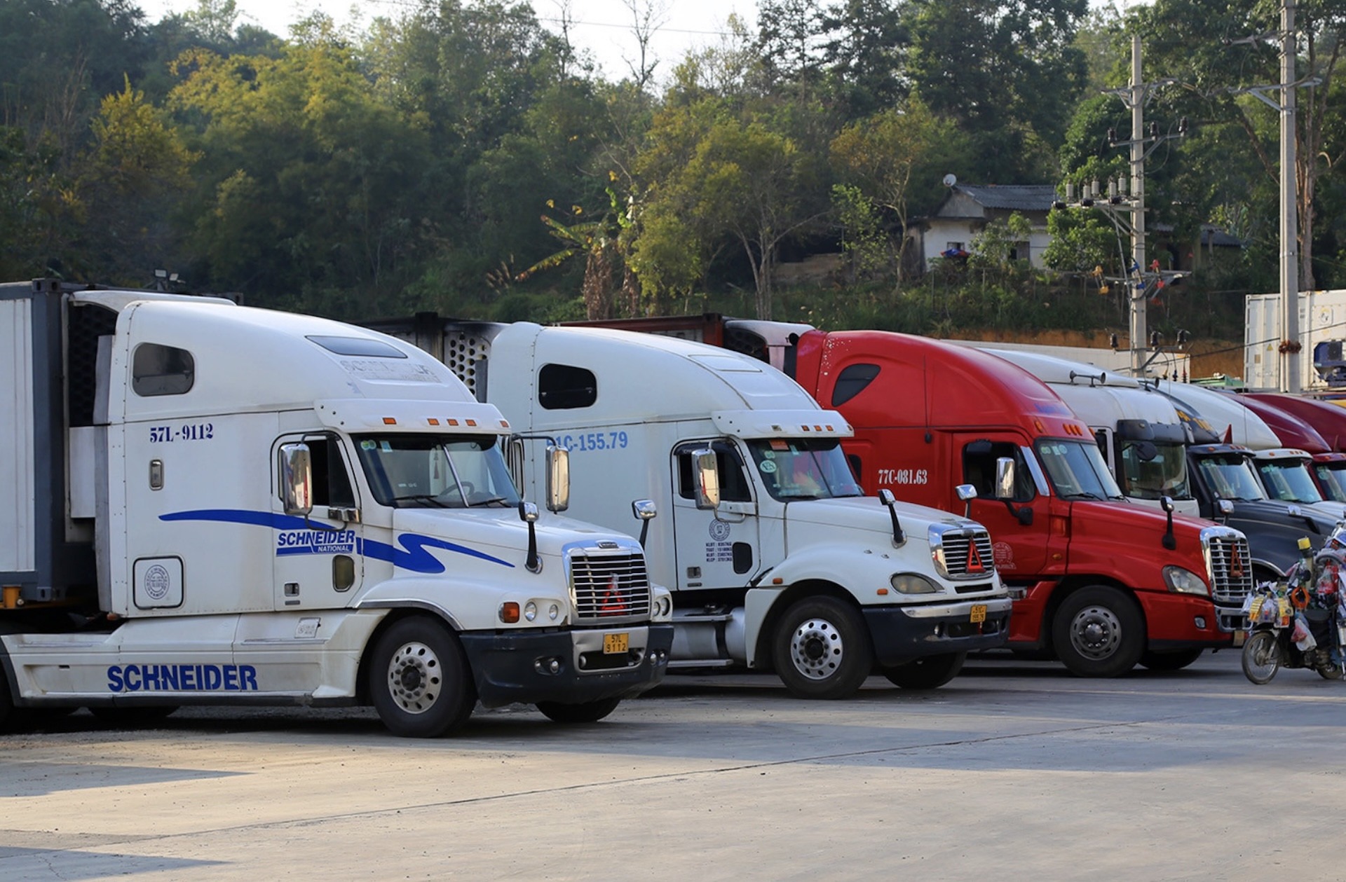 nghi-dinh-46-726.jpg?width=0&s=Z-43MfZdbllD4-95Z6CPng