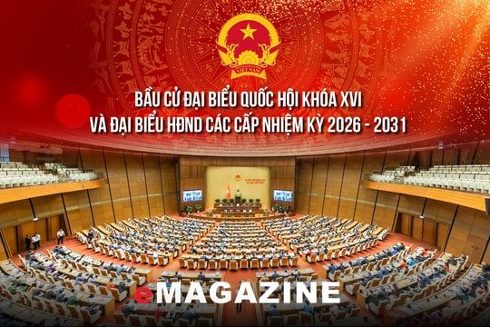 Lá phiếu của niềm tin và trách nhiệm tương lai