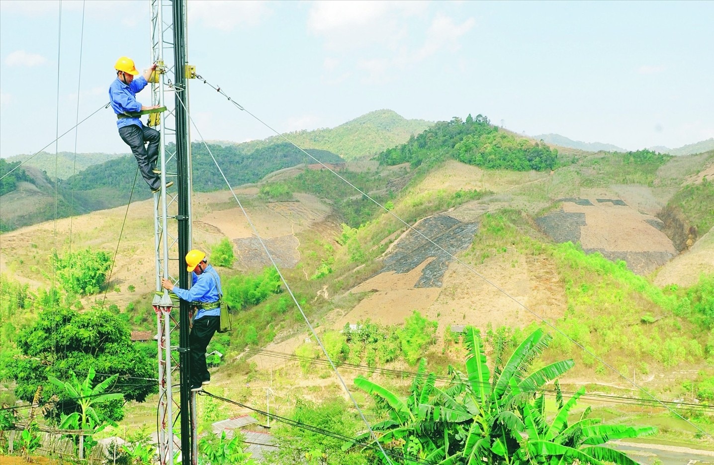 anh-20-1398.jpg?width=0&s=LowHJZk1RG6DqpxKwVBqYw