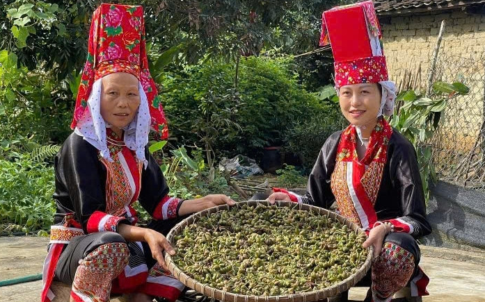 'Không ngờ cái áo mình khâu đưa lên mạng lại nhiều người thích thú'