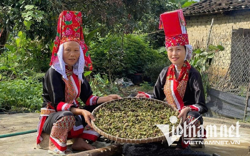 w-chi-chiu-thi-hien-ben-phai-dang-livetream-dang-tiktok-cac-bai-thuoc-cua-nguoi-dao-2927.jpg?width=0&s=0A1gcss-Q5GyUUN1sbP-cA