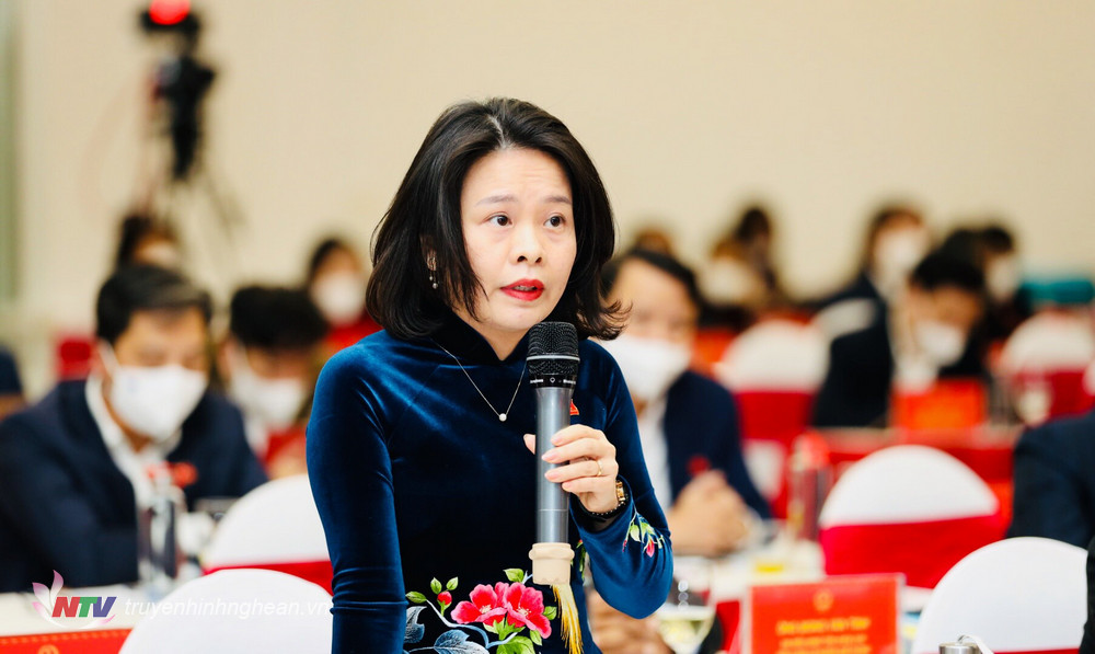 dai-bieu-ho-thu-trang-tx-hoang-mai-chat-van-lanh-dao-nganh-lao-dong-thuong-binh-va-xa-hoi.jpg