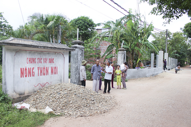 truc2816.jpg
