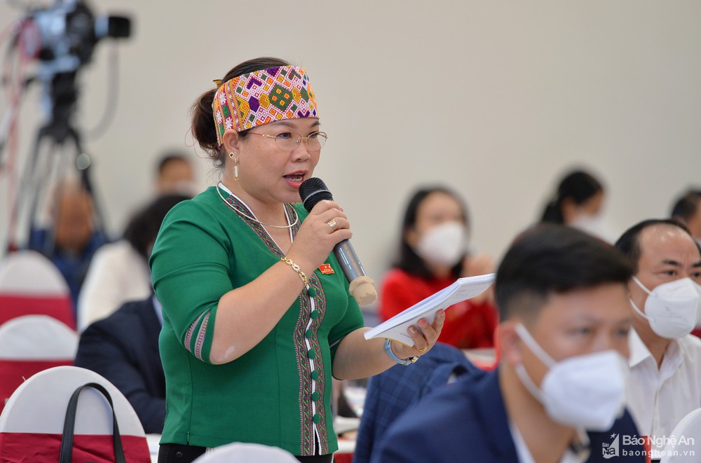 ba-nguyen-thi-thuy-an-dai-bieu-huyen-anh-son-chat-van.jpg