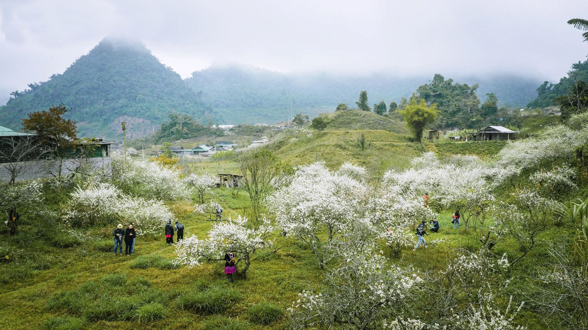 Thung lũng Mường Lống (Kỳ Sơn)