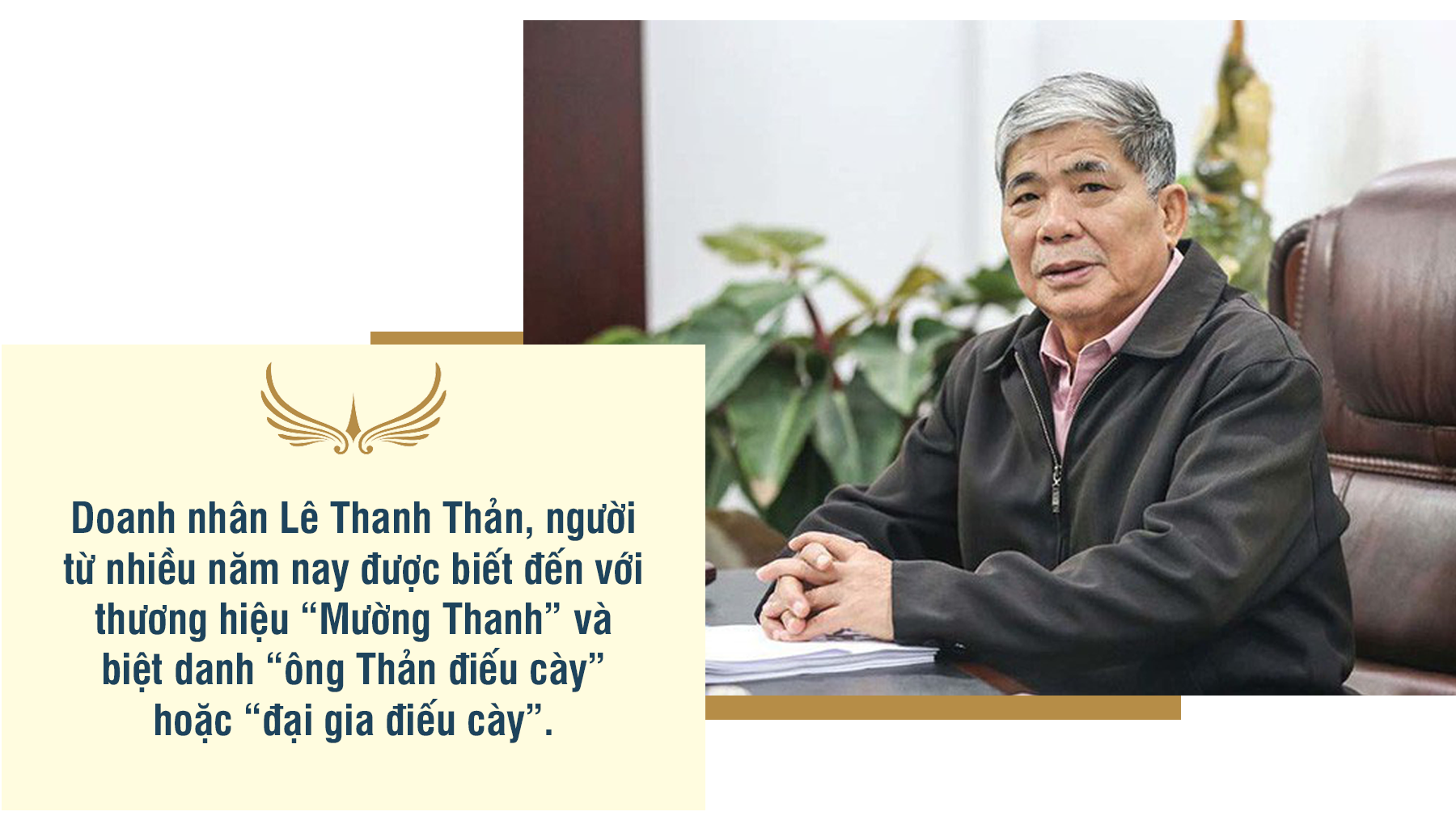 canh-chim-bang-thanh-than-a2.png