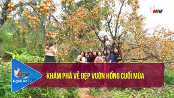 Khám phá vẻ đẹp vườn hồng cuối mùa