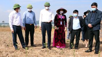 Đề xuất ưu tiên vốn cho Nghệ An thực hiện dự án Khu lâm nghiệp công nghệ cao Bắc Trung Bộ