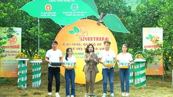 Livestream trực tiếp giới thiệu, quảng bá sản phẩm cam Vinh