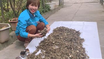 Đại diện Nghệ An lọt vào chung kết 'Dự án khởi nghiệp thanh niên nông thôn 2021'