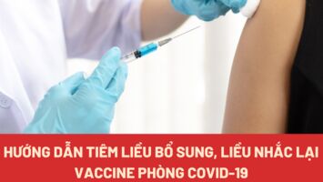 Hướng dẫn đối với liều tiêm bổ sung và liều tiêm nhắc lại vaccine phòng Covid-19