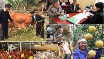 Phê duyệt Chương trình mục tiêu quốc gia giảm nghèo bền vững giai đoạn 2021 - 2025