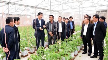 Hướng đến xây dựng nông nghiệp sinh thái, nông dân văn minh, nông thôn hiện đại