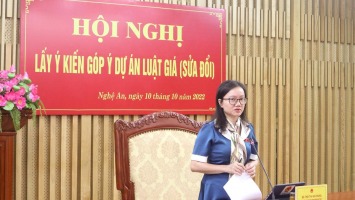 Đoàn đại biểu Quốc hội tỉnh Nghệ An lấy ý kiến góp ý Dự án Luật Giá (sửa đổi)