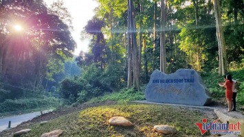 Khám phá rừng săng lẻ miền Tây Nghệ An đẹp bậc nhất Đông Dương