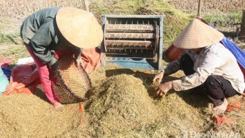 Nghệ An: Thông qua kế hoạch phân bổ gần 920 tỷ đồng thực hiện giảm nghèo