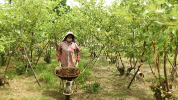 Tiến sĩ Hồ Bá Quỳnh: Một đời trăn trở với nông dân