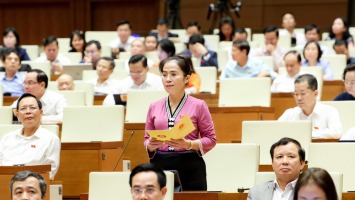 Đại biểu Võ Thị Minh Sinh: Mong muốn lớn nhất của người dân vùng thiên tai là an cư