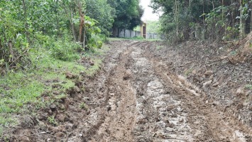 Cử tri huyện Anh Sơn đề xuất bố trí nguồn vốn dự án đường cứu hộ, cứu nạn 10 năm chưa hoàn thành