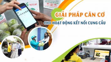 Giải pháp căn cơ cho hoạt động kết nối cung cầu