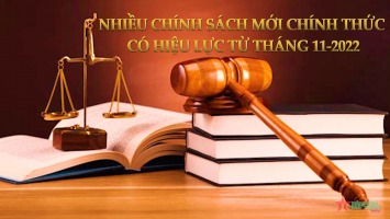 Một số văn bản, chính sách có hiệu lực từ tháng 11 năm 2022