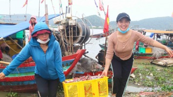 Nhộn nhịp mùa săn ghẹ ở Cửa Lò