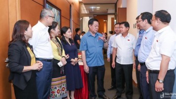 Đoàn ĐBQH Nghệ An thảo luận về dự án Luật Đất đai (sửa đổi)