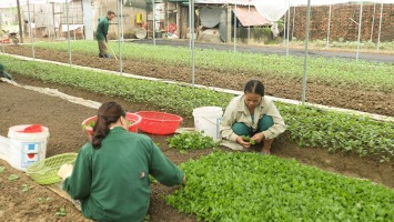 Nâng giá trị “tấc vàng” trong xây dựng nông thôn mới ở thành phố Vinh