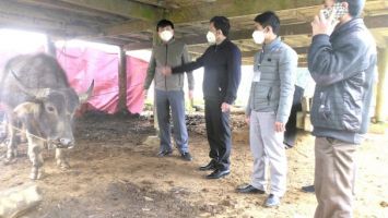 Nghệ An triển khai cấp bách biện pháp phòng chống đói, rét và dịch bệnh cho đàn vật nuôi