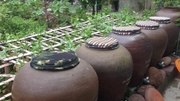 Hồn quê - Vị nước mắm