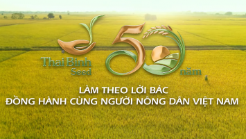 ThaiBinh Seed: 50 năm đồng hành cùng người nông dân Việt Nam