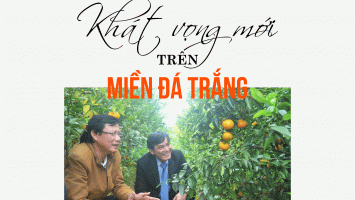 Khát vọng mới trên miền đá trắng