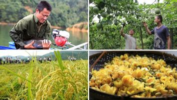 Thương hiệu cho đặc sản Quế Phong