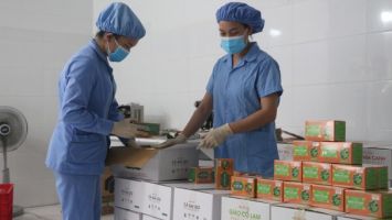 Nghệ An tiếp tục hỗ trợ gần 26 tỷ đồng cho hơn 16.000 lao động gặp khó khăn do đại dịch