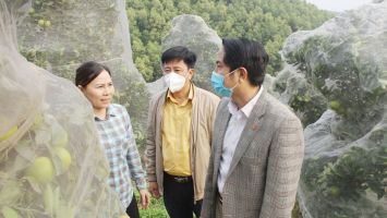 Đẩy mạnh ứng dụng CNTT, đổi mới cơ chế phối hợp ở HĐND huyện Thanh Chương