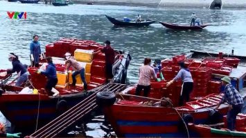 Rạng sáng ở bến cá Nghi Thủy - Thị xã Cửa Lò