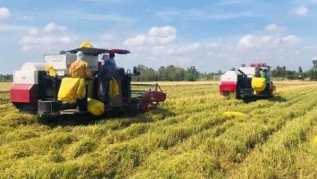 Quy chế dân chủ cơ sở cấp xã - Quan trọng phải công khai, minh bạch trong các hoạt động