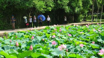 Về quê Bác – Làng Sen