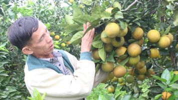 Phát triển du lịch nông nghiệp, nông thôn - Một hướng đi trong xây dựng nông thôn mới