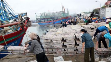 Nghệ An bàn giải pháp tháo gỡ khó khăn cho ngư dân