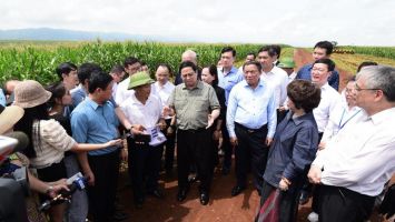 Cuộc trò chuyện của Thủ tướng và người nông dân trên cánh đồng nguyên liệu đạt kỷ lục thế giới