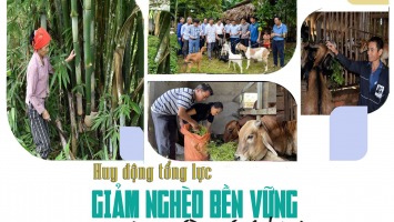 Huy động tổng lực giảm nghèo bền vững vùng miền núi Nghệ An
